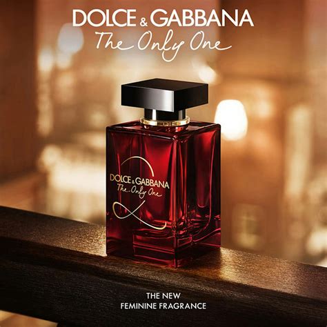 dolce gabbana the only one emilia|d&g the only one 2.